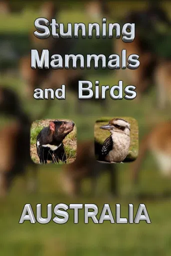 Stunning Mammals and Birds: Australia poster