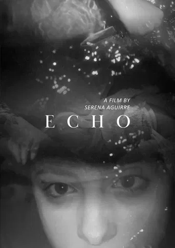 Echo poster