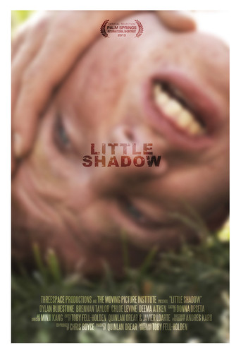 Little Shadow poster