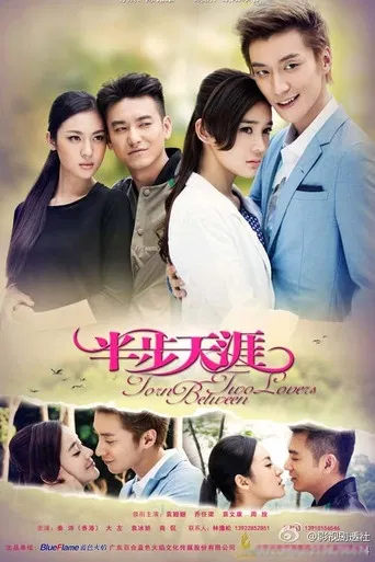 Torn Between Two Lovers poster
