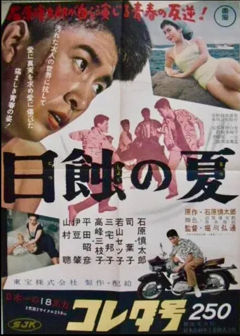 Summer in Eclipse poster