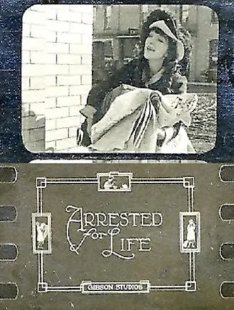 Arrested For Life poster