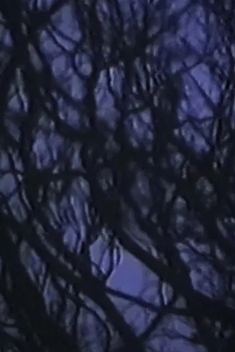 On the afternoon in LANGEL HANS Island poster