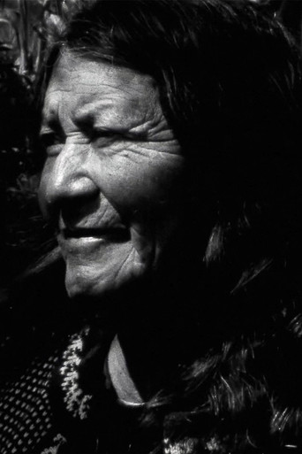 Manu: A Visual Album poster