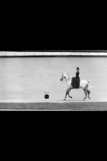Bay Horse, Ridden by Thérèse Rentz, Canter poster