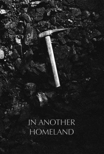 In Another Homeland poster