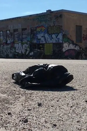 The Most Beautiful Thing I Ever Filmed poster