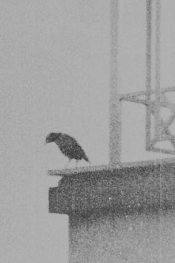 Ghazal no 884 By Bidel poster