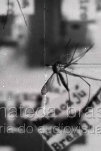 Febre Amarela II poster