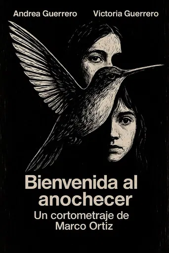 Bienvenida al Anochecer poster