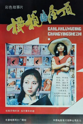 橄榄绿屋顶 poster