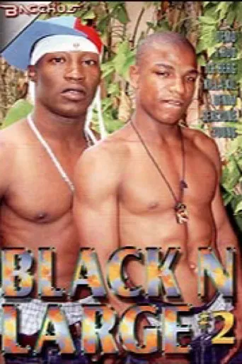 Black n Large 2 poster