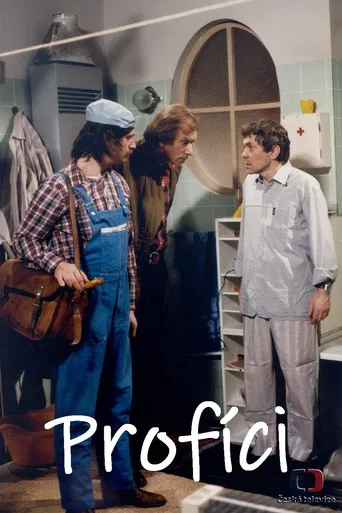 Profíci aneb Když nejsou lidi poster
