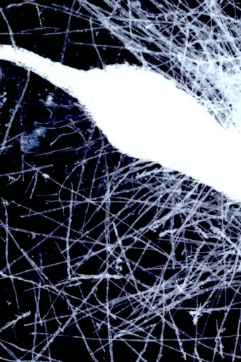 Yaangna Plays Itself poster