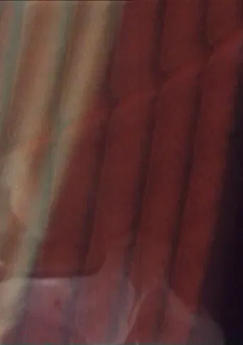 The Old Woman's Face, The Soup Tureen, Vreni Keller Speaks and Madame's Fanny poster