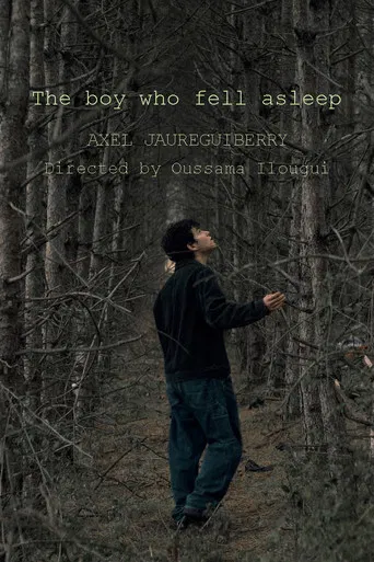 The boy who fell asleep poster