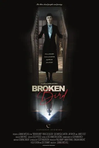 Broken Bird poster