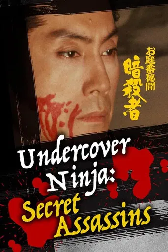 Undercover Ninja: Secret Assassins poster