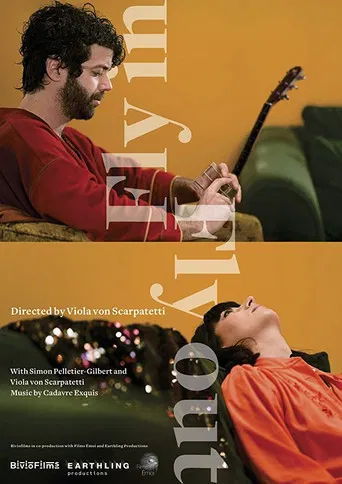 Fly In Fly Out poster