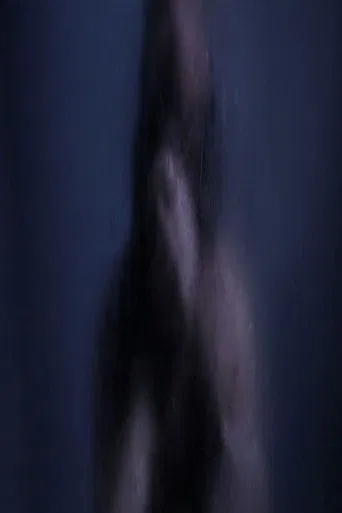 Baisers Nocturnes poster