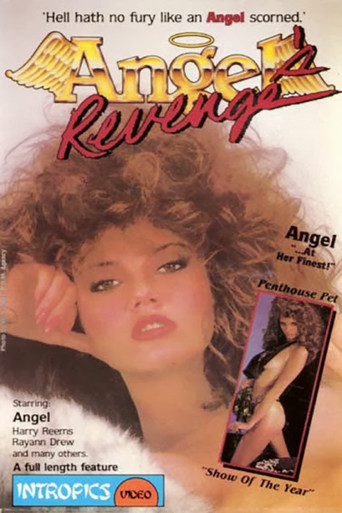 Angel's Revenge poster