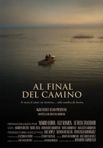 Al final del camino poster