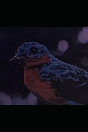 Retrato de Villa-Lobos poster