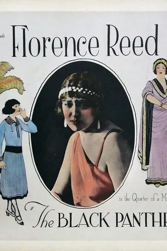 The Black Panther's Cub poster