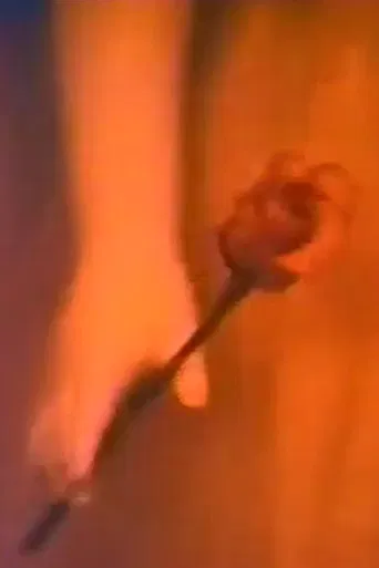 My collections poster