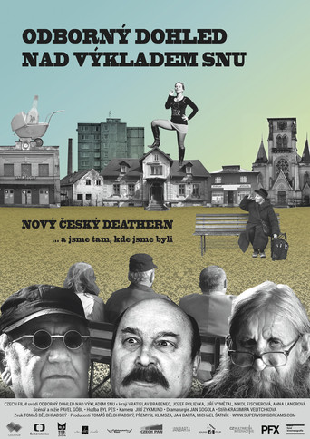 Odborný dohled nad výkladem snu poster