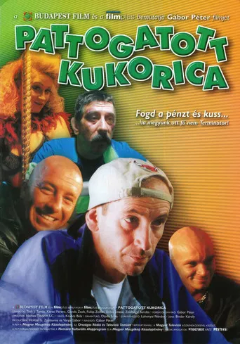 Pattogatott Kukorica poster