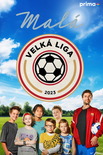 Malá velká liga poster