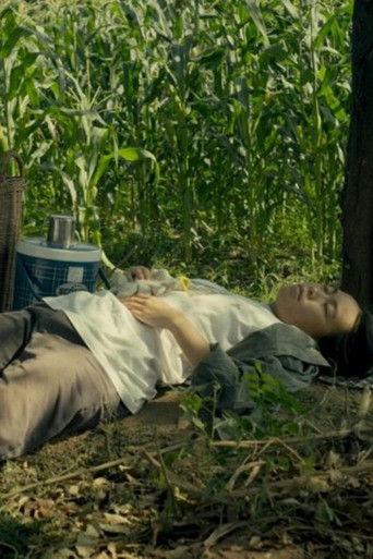 Spirits of the Black Leaves poster