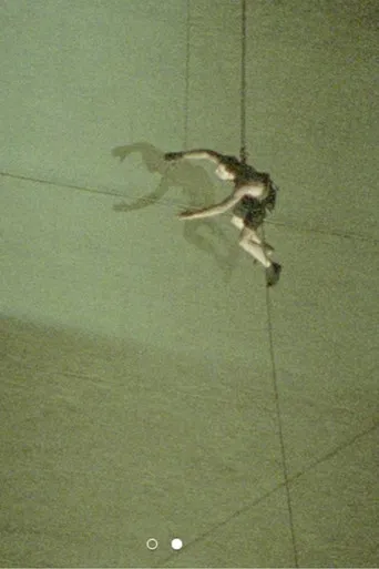 Pichón en el Obelisco poster