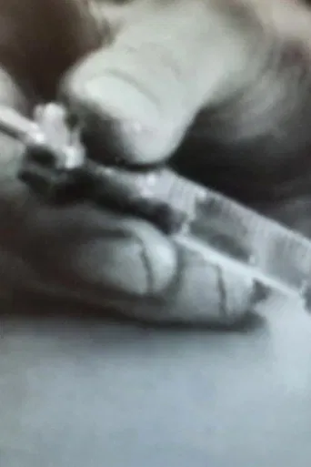 Ricke Langhammer - en narkoman poster