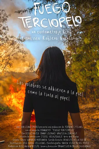 Fuego terciopelo poster