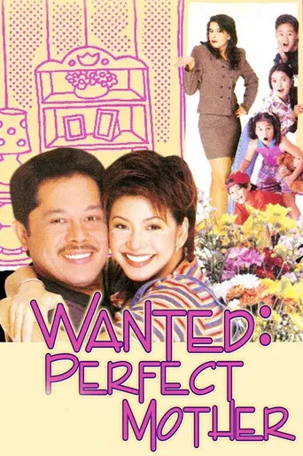 Wanted: Perfect Mother poster