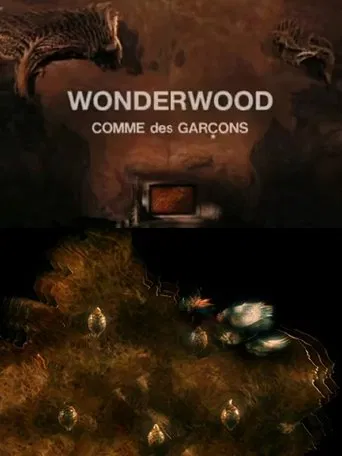 Wonderwood: Comme des garçons poster