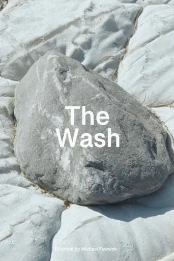 The Wash poster