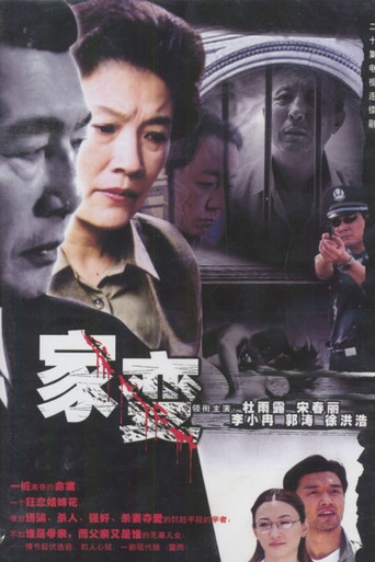 家变 poster