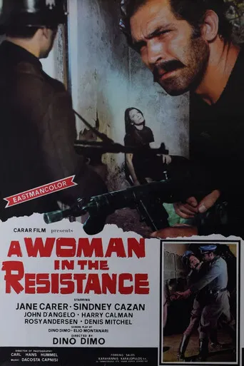 A Woman in the Resistance poster