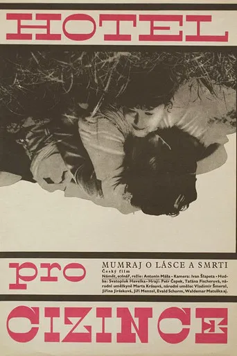 Hotel for Strangers poster