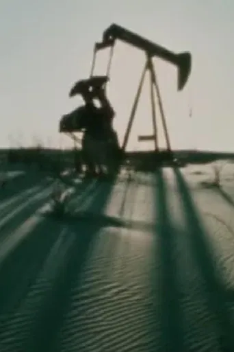 Taming the Wildcat poster