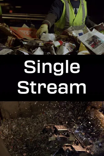 Single Stream poster