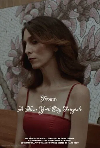 Transit: A New York City Fairytale poster