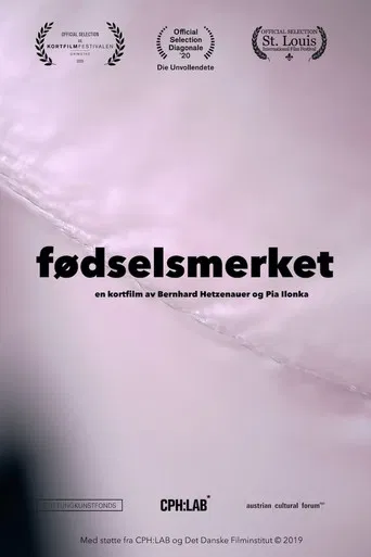 The Birthmark poster