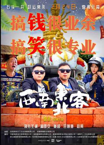 西南东北客 poster