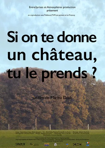 Si on te donne un château, tu le prends? poster