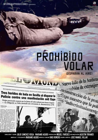 Prohibido volar, Disparan al aire poster