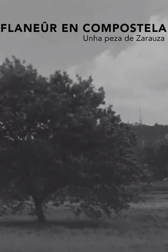 Flanêur en Compostela poster